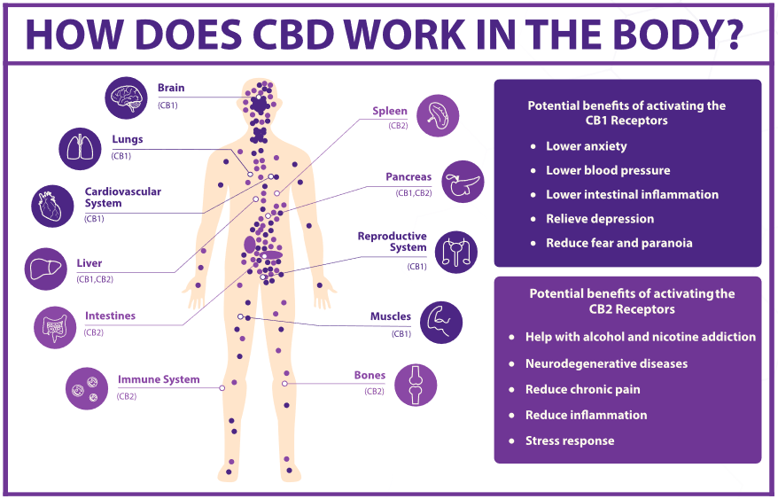 What is CBD - Iconic Remedies